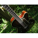 Eastman Guitars - Eastman AR810CE