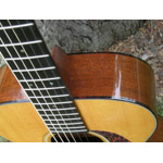 Martin Guitars - Martin 00-18V