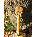 1920s Orpheum Style 1 Banjo