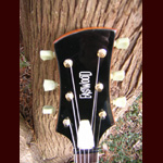 Eastwood Guitars - Eastwood Sidejack Baritone
