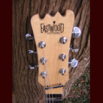 Eastwood Guitars - Eastwood JR Elite