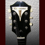 Epiphone Guitars - Epiphone Century