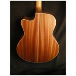 Lakewood J14cp