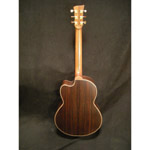 Mcilroy AS30c Rosewood/Sitka